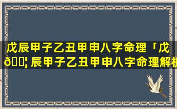 戊辰甲子乙丑甲申八字命理「戊 🐦 辰甲子乙丑甲申八字命理解析」